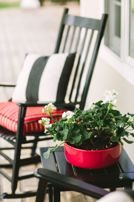 Playful Backyard Phoenix Wedding – Photo by Let's Frolic Together