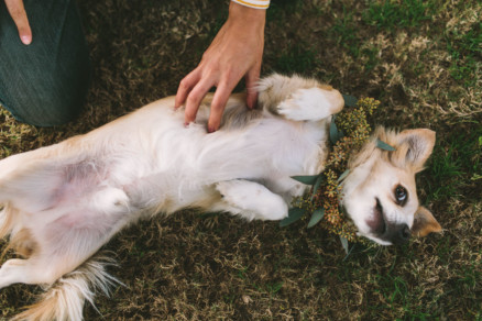 Playful Barrio Logan Engagement – Photo by Let's Frolic Together