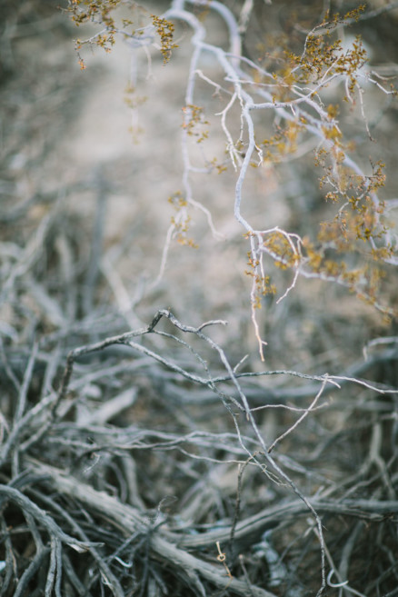 Modern Glam Palm Springs Wedding – Photo by Let's Frolic Together