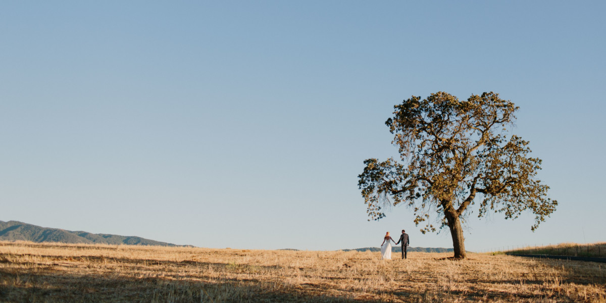 Glowing Gainey Vineyard Wedding &ndash; Photo by Let's Frolic Together