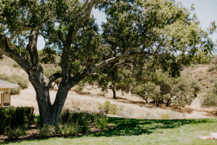 Glowing Gainey Vineyard Wedding – Photo by Let's Frolic Together