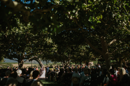 Glowing Gainey Vineyard Wedding – Photo by Let's Frolic Together