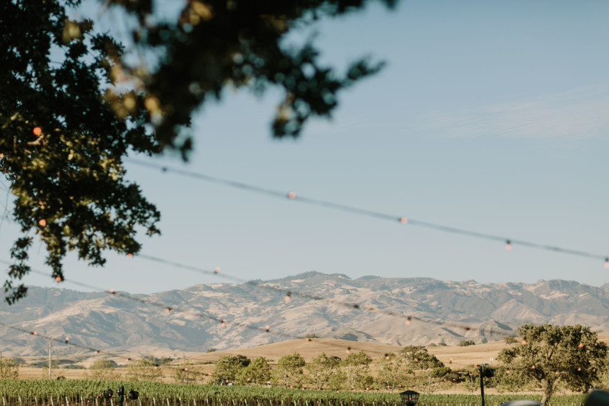 Glowing Gainey Vineyard Wedding – Photo by Let's Frolic Together