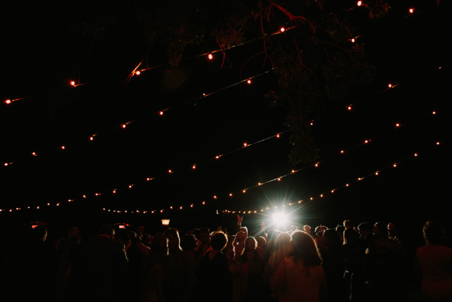 Glowing Gainey Vineyard Wedding – Photo by Let's Frolic Together