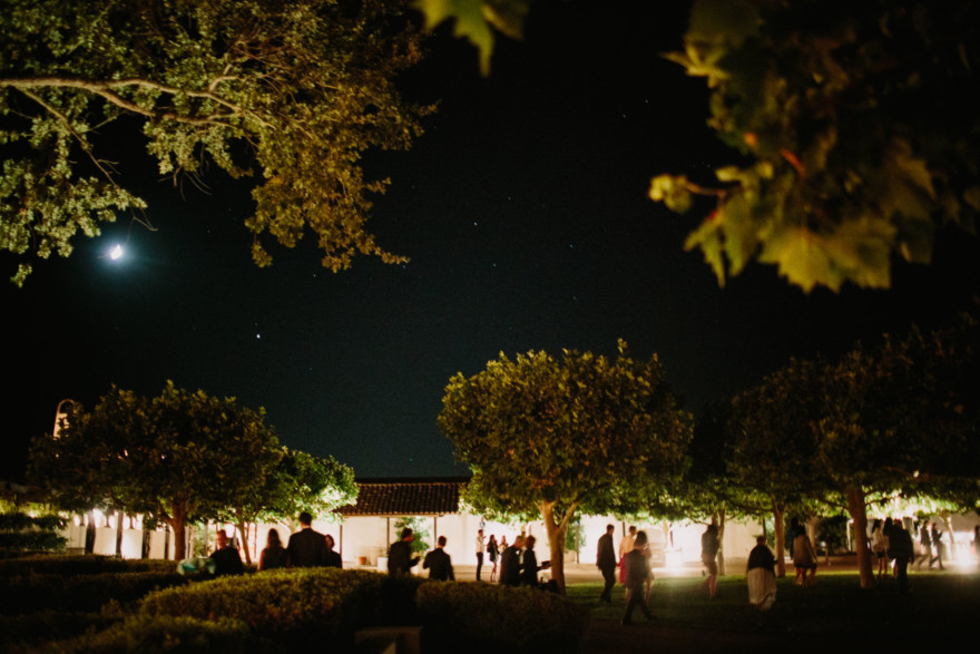 Glowing Gainey Vineyard Wedding – Photo by Let's Frolic Together