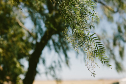 Glowing Gainey Vineyard Wedding – Photo by Let's Frolic Together