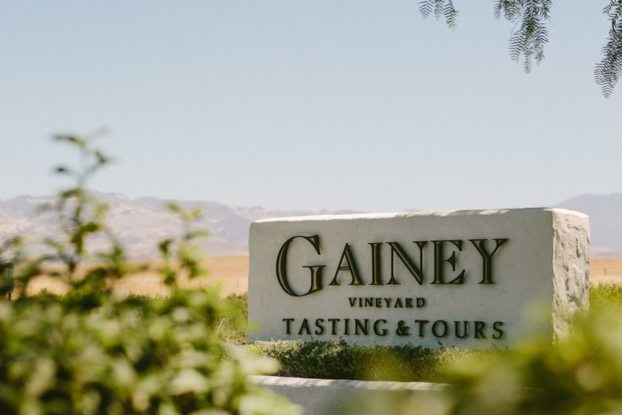 Glowing Gainey Vineyard Wedding – Photo by Let's Frolic Together
