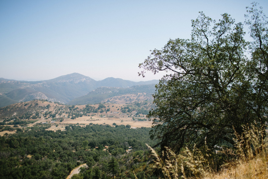 Frolic in the Forest – Photo by Let's Frolic Together