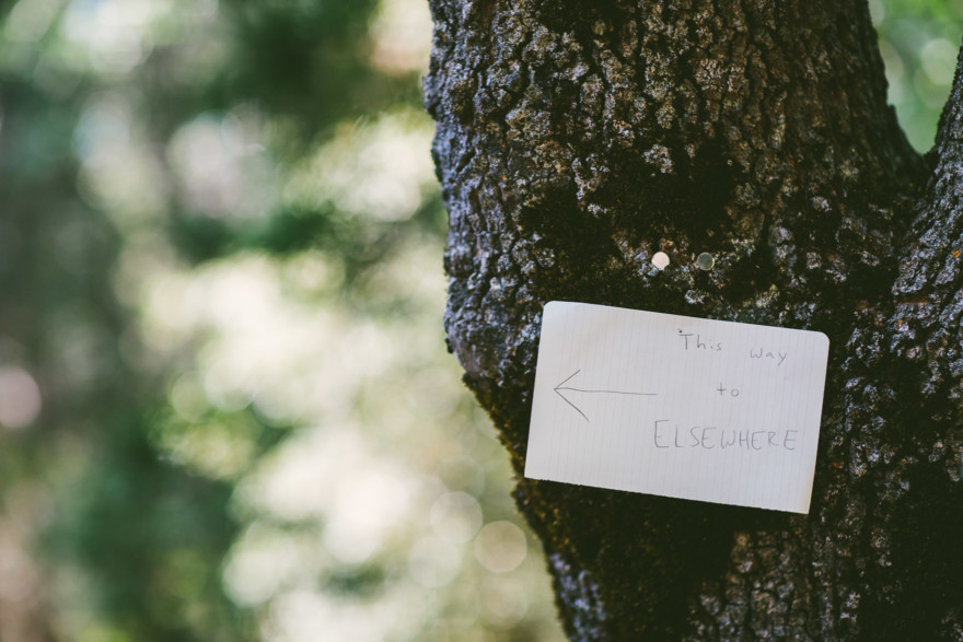 Frolic in the Forest – Photo by Let's Frolic Together
