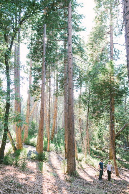 Frolic in the Forest – Photo by Let's Frolic Together