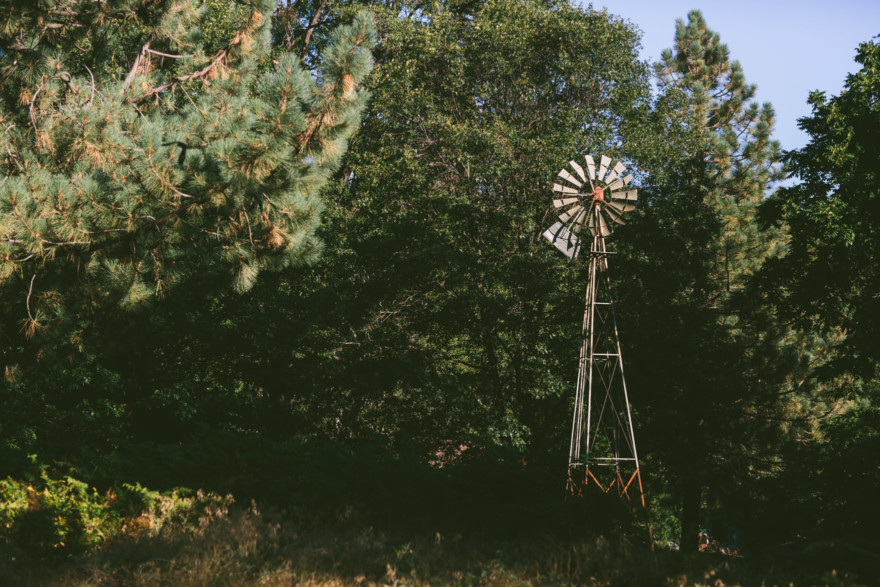 Frolic in the Forest – Photo by Let's Frolic Together