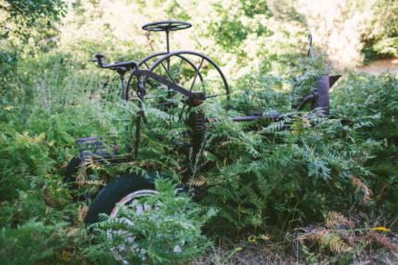 Frolic in the Forest – Photo by Let's Frolic Together