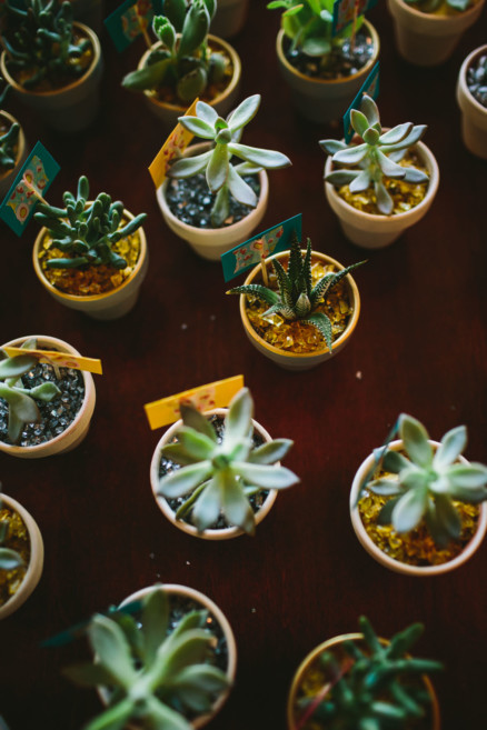 Wild Dinosaur Fig House Wedding – Photo by Let's Frolic Together
