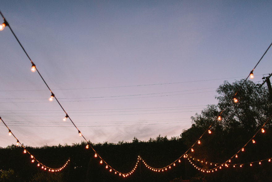 Wild Dinosaur Fig House Wedding – Photo by Let's Frolic Together