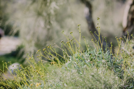 Love Wins in the Dreamy Desert – Photo by Let's Frolic Together