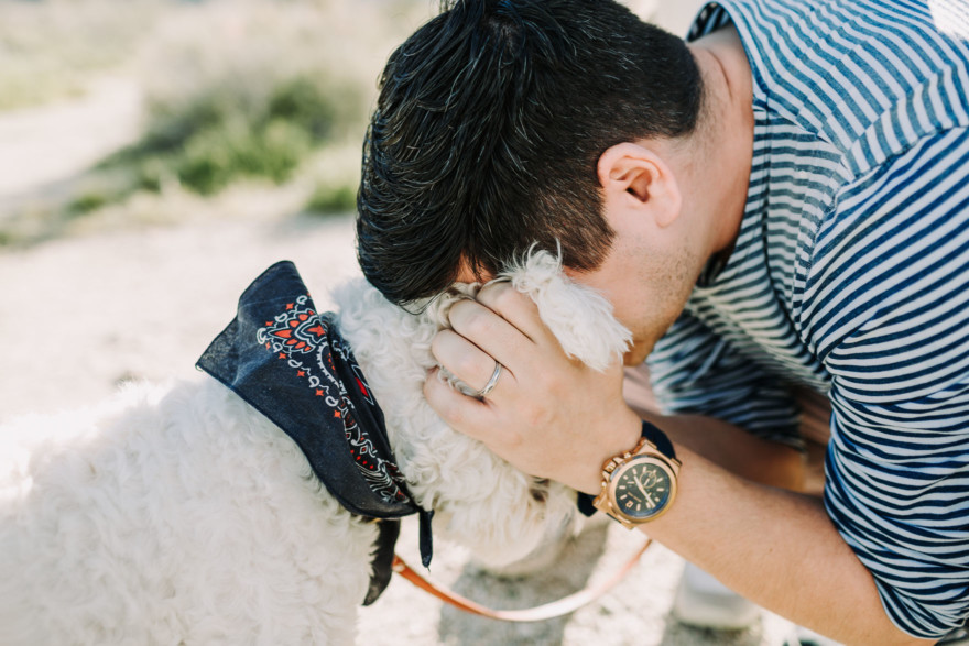 Love Wins in the Dreamy Desert – Photo by Let's Frolic Together