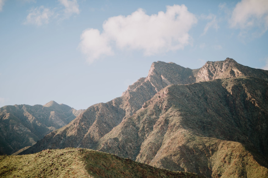 Love Wins in the Dreamy Desert – Photo by Let's Frolic Together