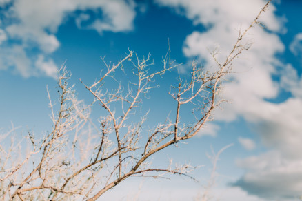 Love Wins in the Dreamy Desert – Photo by Let's Frolic Together