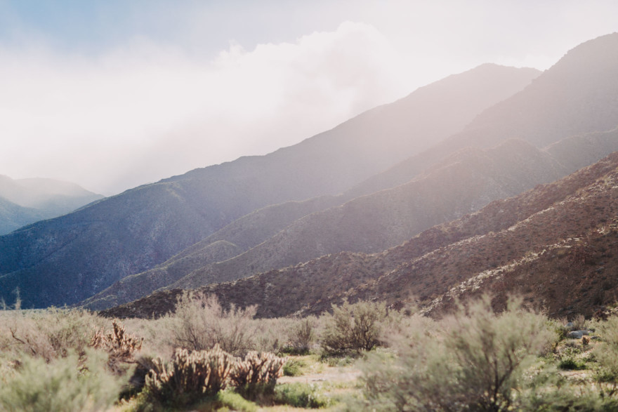Love Wins in the Dreamy Desert – Photo by Let's Frolic Together