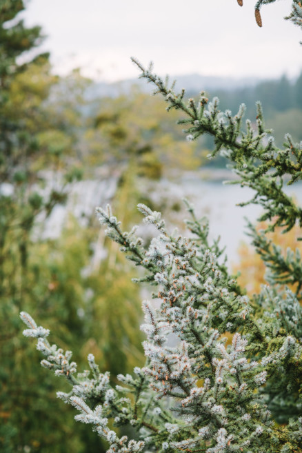 Go Jump in a Lake! – Photo by Let's Frolic Together