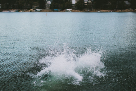 Go Jump in a Lake! – Photo by Let's Frolic Together