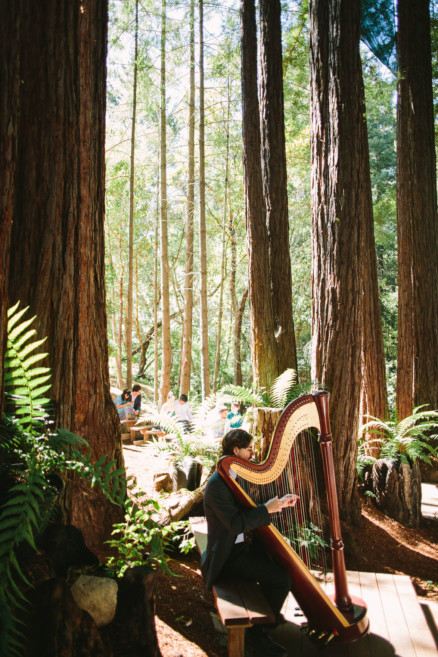 A Redwoods Fairytale Wedding – Photo by Let's Frolic Together