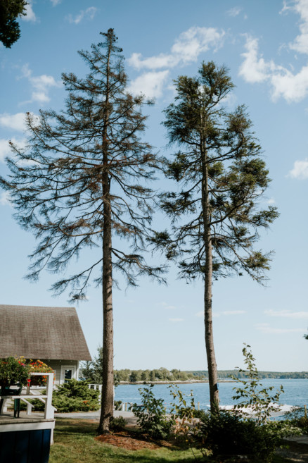 A Dreamy Seaside Union in Maine – Photo by Let's Frolic Together