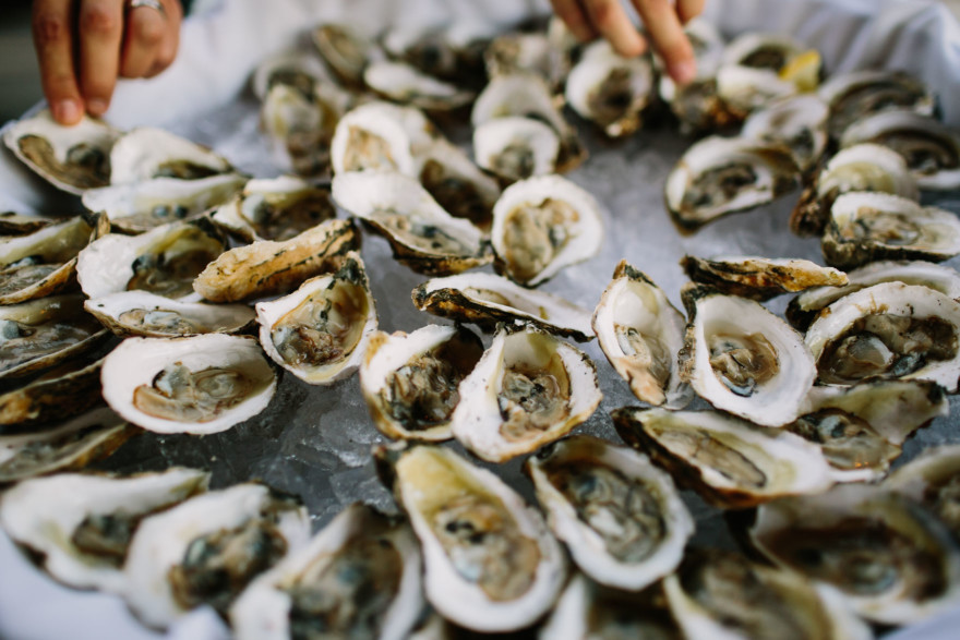 A Dreamy Seaside Union in Maine – Photo by Let's Frolic Together