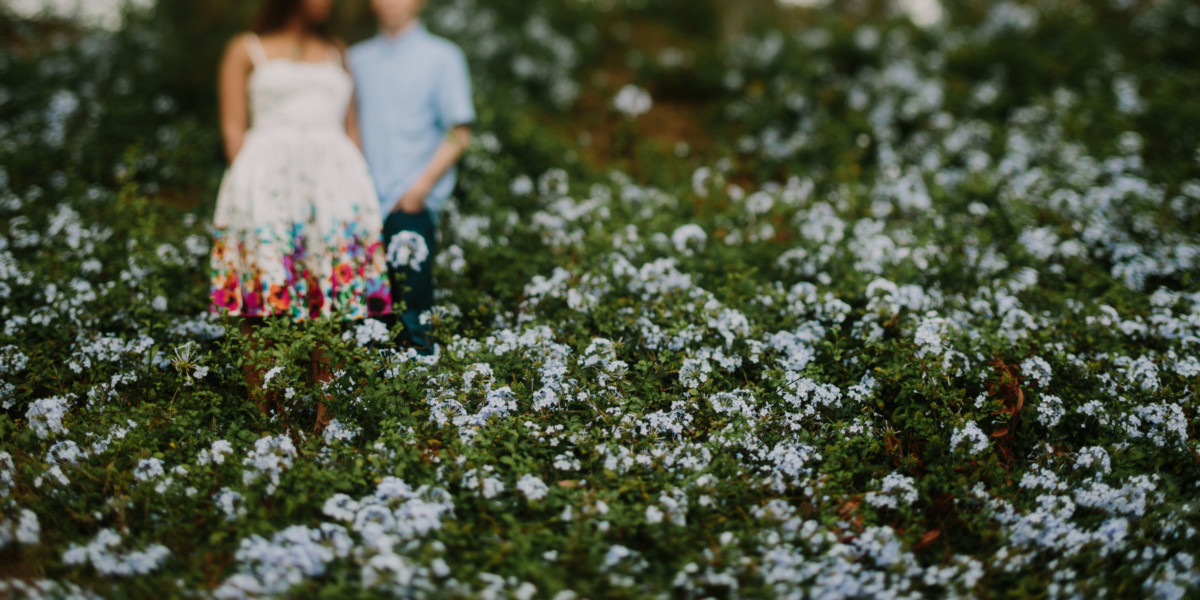 A Playful Picnic in the Park &ndash; Photo by Let's Frolic Together