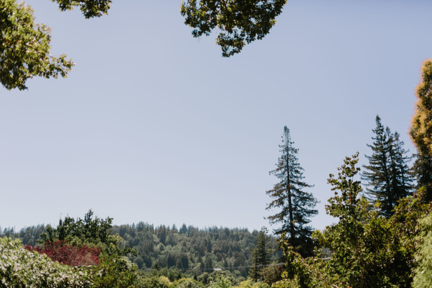 Sweet & Snuggly Garden Gathering – Photo by Let's Frolic Together