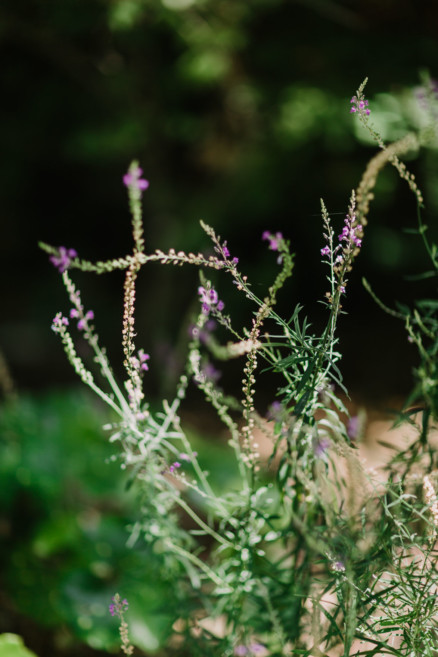 Sweet & Snuggly Garden Gathering – Photo by Let's Frolic Together