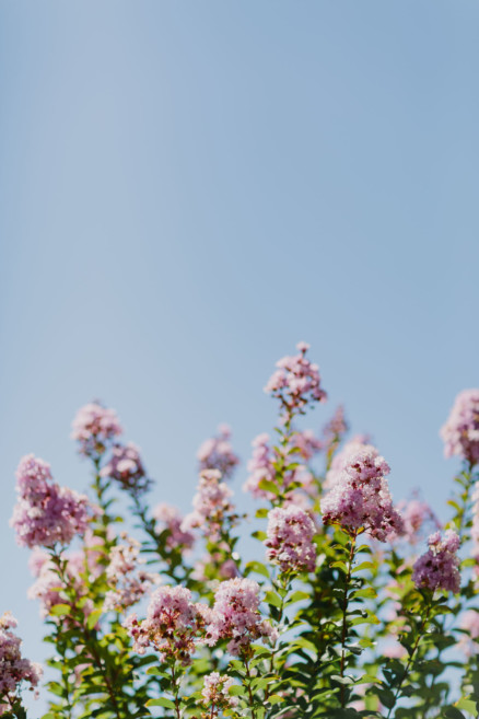 Sweet & Snuggly Garden Gathering – Photo by Let's Frolic Together
