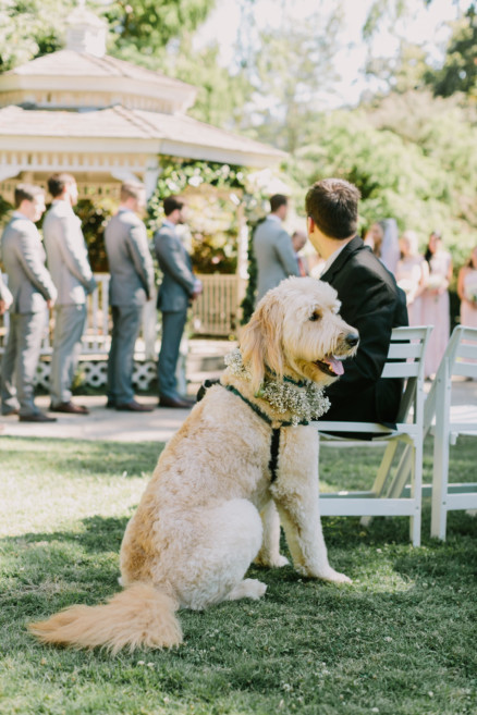 Sweet & Snuggly Garden Gathering – Photo by Let's Frolic Together