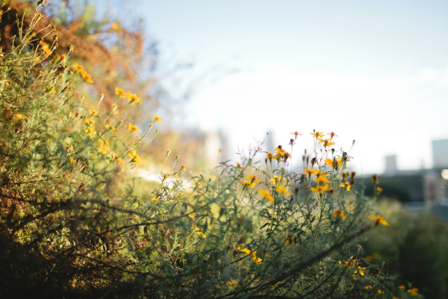 A Charming Stroll In Downtown LA – Photo by Let's Frolic Together