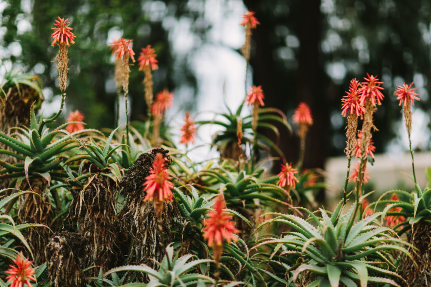 A Snuggly Walk in the Park – Photo by Let's Frolic Together