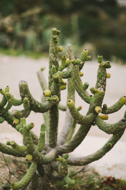 A Snuggly Walk in the Park – Photo by Let's Frolic Together