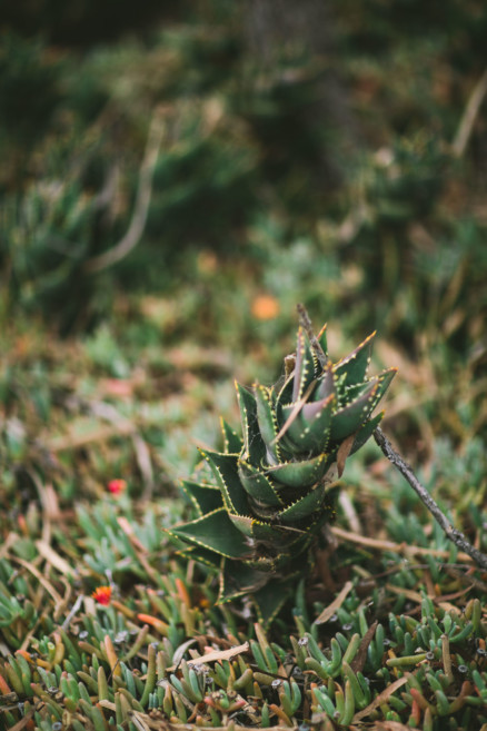 A Snuggly Walk in the Park – Photo by Let's Frolic Together