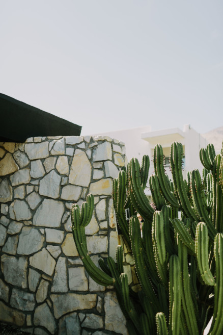 Backyard Palm Springs Wedding – Photo by Let's Frolic Together