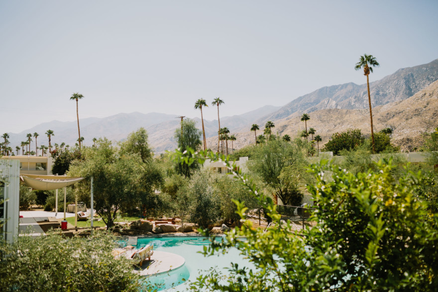 Backyard Palm Springs Wedding – Photo by Let's Frolic Together