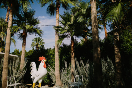 Backyard Palm Springs Wedding – Photo by Let's Frolic Together