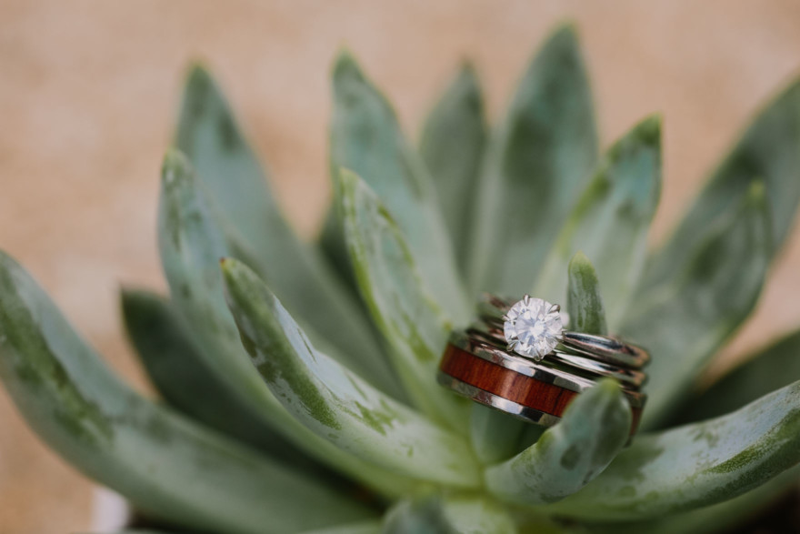 Backyard Palm Springs Wedding – Photo by Let's Frolic Together