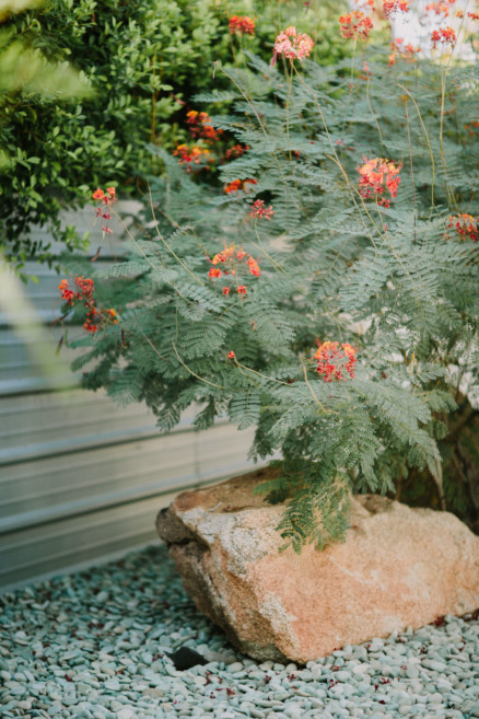 Backyard Palm Springs Wedding – Photo by Let's Frolic Together