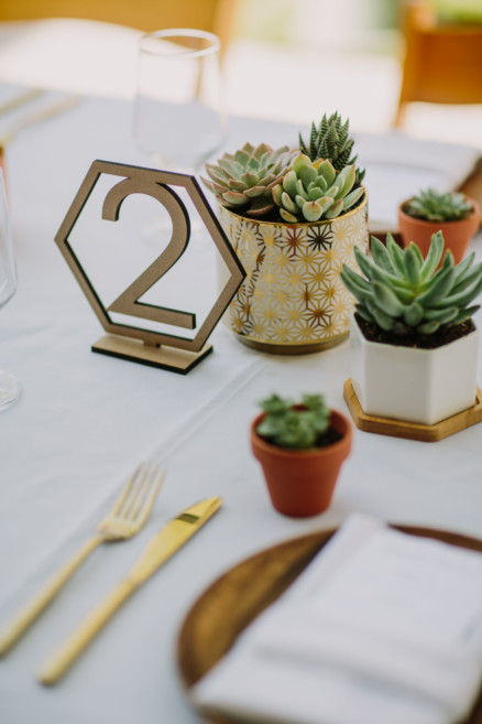 Backyard Palm Springs Wedding – Photo by Let's Frolic Together