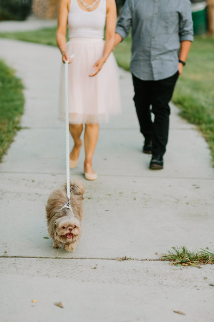 Drinks, Dogs, and Much Delight! – Photo by Let's Frolic Together