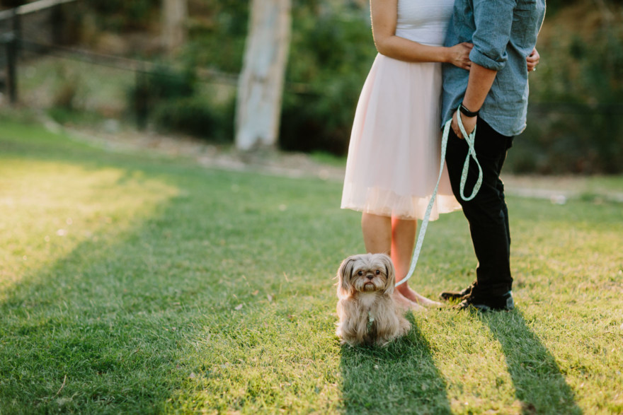 Drinks, Dogs, and Much Delight! – Photo by Let's Frolic Together