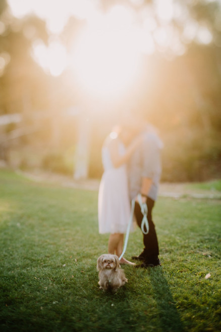 Drinks, Dogs, and Much Delight! – Photo by Let's Frolic Together