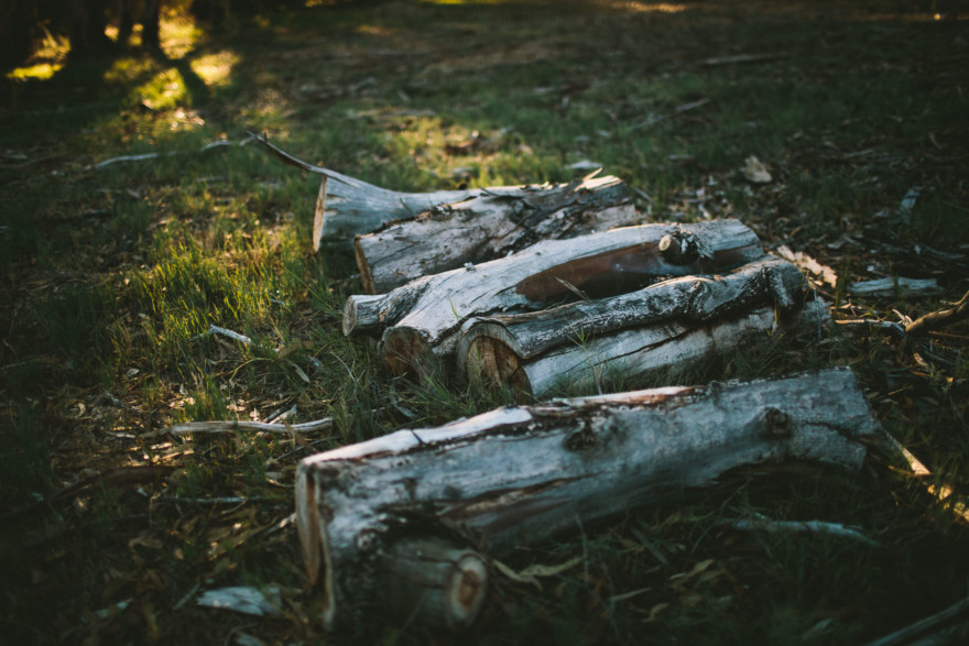 Wandering Rustic Lake Cuddles – Photo by Let's Frolic Together