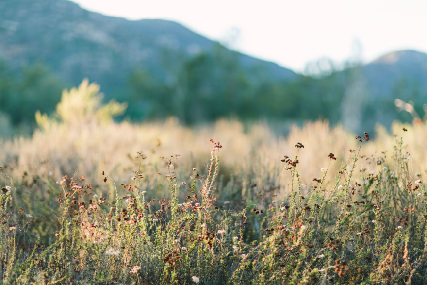 Wandering Rustic Lake Cuddles – Photo by Let's Frolic Together