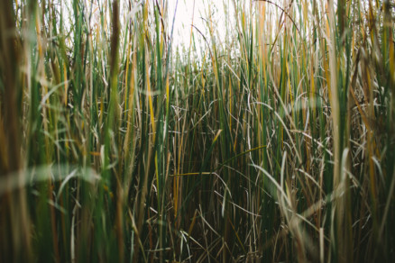 Wandering Rustic Lake Cuddles – Photo by Let's Frolic Together