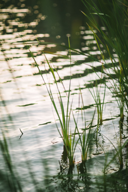 Wandering Rustic Lake Cuddles – Photo by Let's Frolic Together